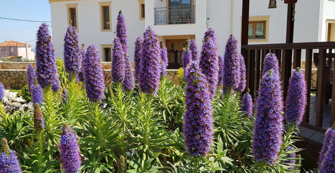 Villa Omega Kefalonia Karavádhos Exteriér fotografie